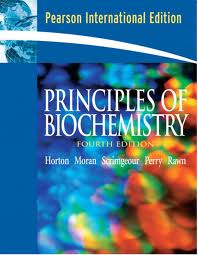 Principles of Biochemistry : International Edition  