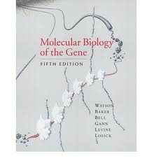 Molecular Biology of the Gene : International Edition  