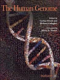 The Human Genome  