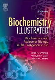 Biochemistry Illustrated : Biochemistry and Molecular Biology in the Post-Genomic Era  