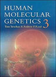 Human Molecular Genetics / Edition 3  