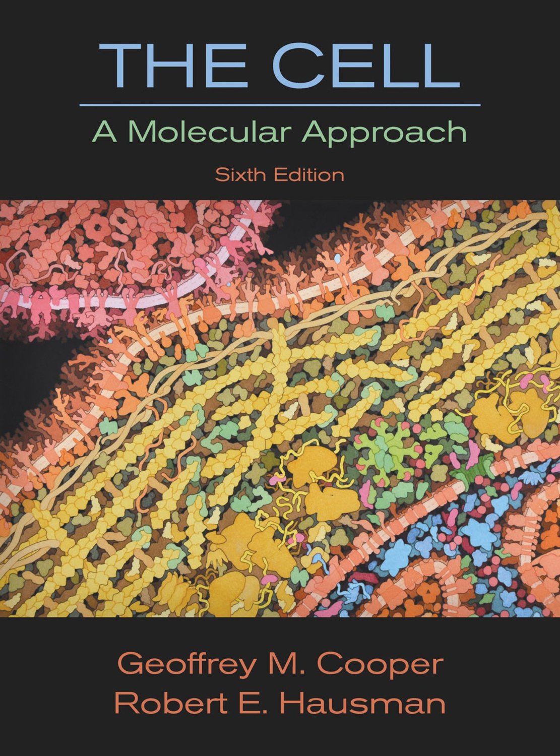 The Cell: A Molecular Approach, Sixth Edition 