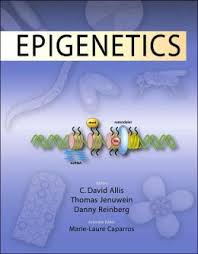 Epigenetics  