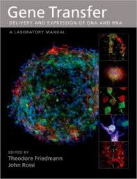 Gene Transfer : Delivery and Expression of DNA and RNA, A Laboratory Manual  
