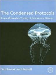 The Condensed Protocols From Molecular Cloning : A Laboratory Manual  