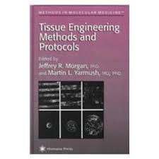 Tissue Engineering Methods in Molecular Medicine  
