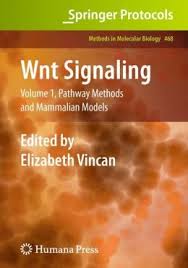 Wnt Signaling  : Volume 1 Pathway Methods and Mammalian Models  