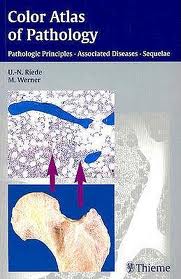 Color Atlas of Pathology : Pathologic Principles, Associated Diseases, Sequelae  
