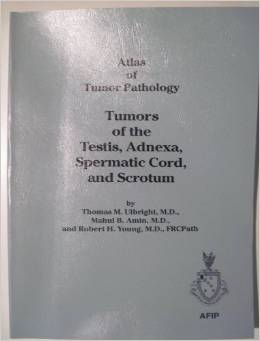 Tumors of the Testis, Adnexa, Spermatic Cord, and Scrotum 