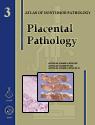 Placental Pathology 