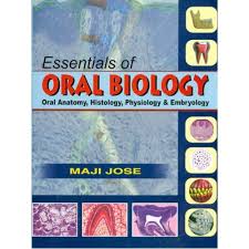 Essentials of Oral Biology : Oral Anatomy, Histology, Physiology and Embryology  